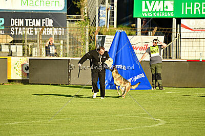 Crazy Canis Invictus