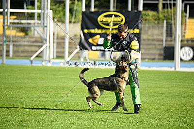 Crazy Canis Invictus