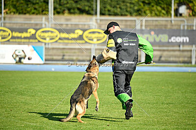 Crazy Canis Invictus