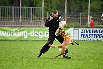 Crazy von den kleinen Halunken