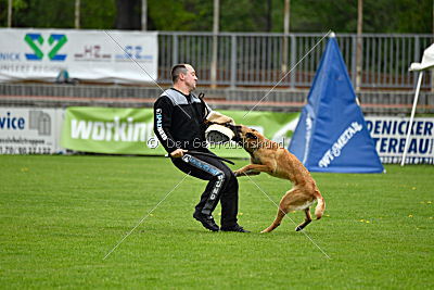 Crazy von den kleinen Halunken
