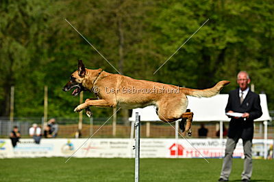 Crazy von den kleinen Halunken