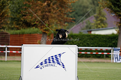 Crissi von Elberfeld