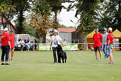 Crissi von Elberfeld