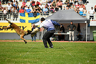 Crocodile z Udoli Jizery