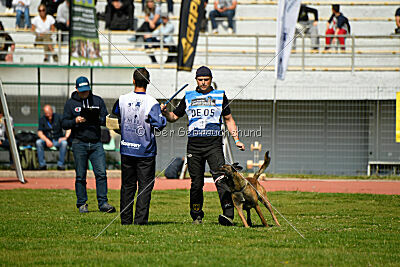 Crocodile z Udoli Jizery