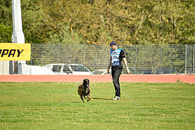 Crocodile z Udoli Jizery