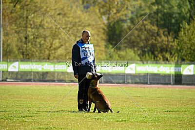 Crocodile z Udoli Jizery