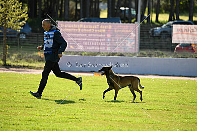 Crocodile z Udoli Jizery