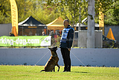 Crocodile z Udoli Jizery