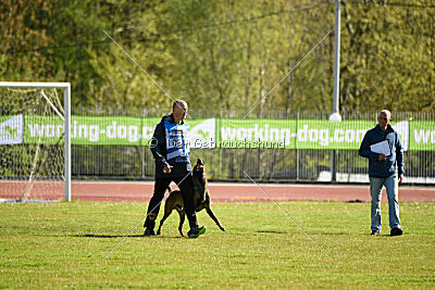 Crocodile z Udoli Jizery