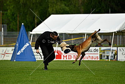 Crocodile z Údolí Jizery