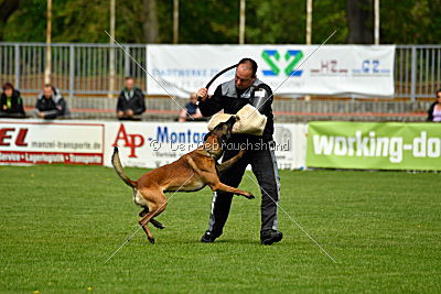 Crocodile z Údolí Jizery