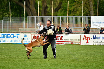 Crocodile z Údolí Jizery