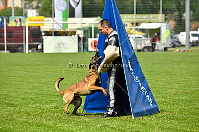 Crocodile z Údolí Jizery