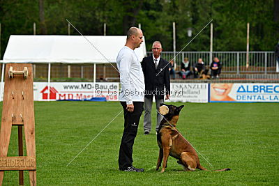 Crocodile z Údolí Jizery