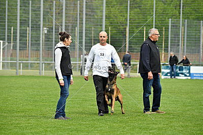 Crocodile z Údolí Jizery