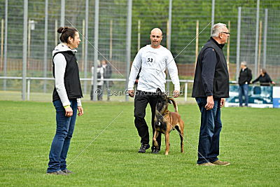 Crocodile z Údolí Jizery