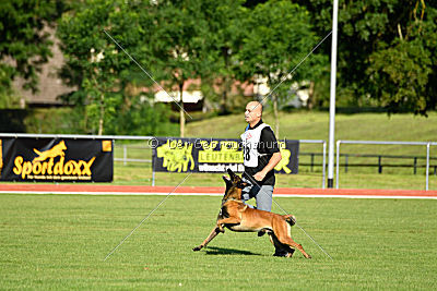 Crocodile z Údolí Jizery