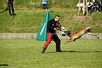 Crocodile z Údolí Jizery