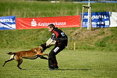 Crocodile z Údolí Jizery