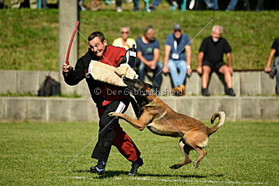 Crocodile z Údolí Jizery