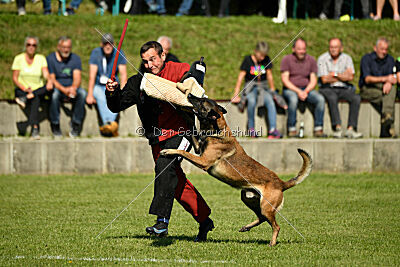 Crocodile z Údolí Jizery