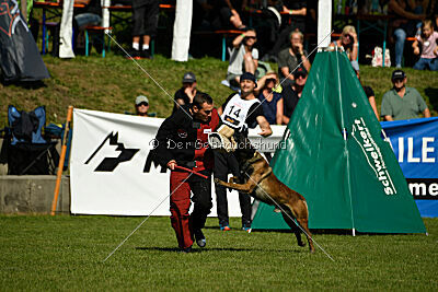 Crocodile z Údolí Jizery