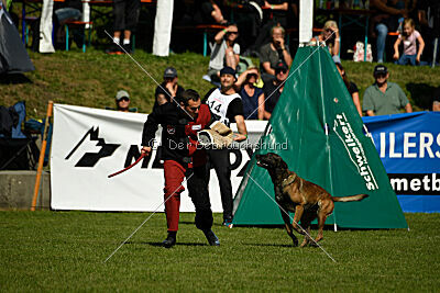 Crocodile z Údolí Jizery