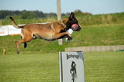 Crocodile z Údolí Jizery