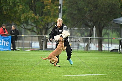 Cute von der Großen Freiheit