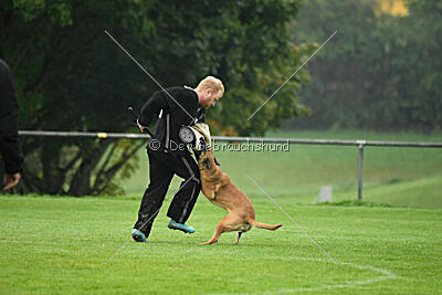 Cute von der Großen Freiheit