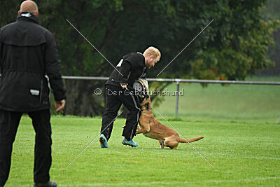 Cute von der Großen Freiheit