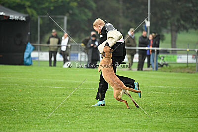 Cute von der Großen Freiheit
