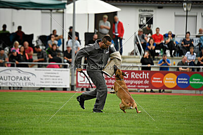 Cute von der großen Freiheit