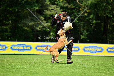 Cute von der großen Freiheit