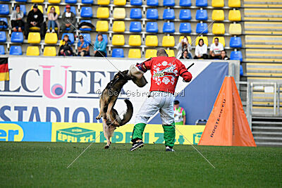 Cyrano od Jemcinskeho Zamku