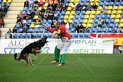 Cyrano od Jemcinskeho Zamku