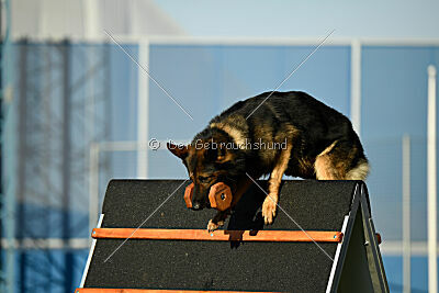 Cyrano od Jemcinskeho Zamku