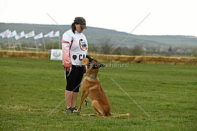 D&C's Captain Fizzgig