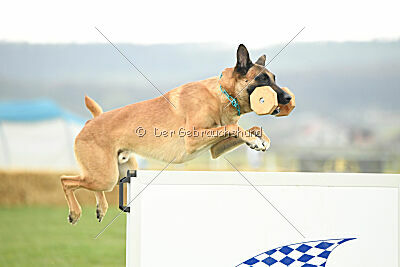 D&C's Captain Fizzgig