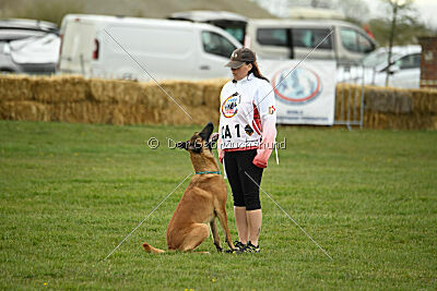 D&C's Captain Fizzgig