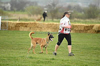 D&C's Captain Fizzgig