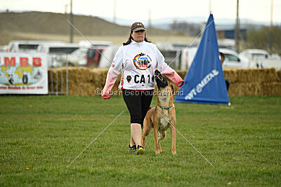 D&C's Captain Fizzgig