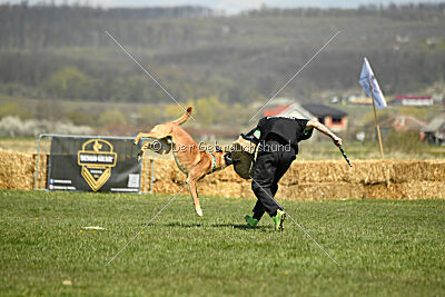 D&C's Captain Fizzgig