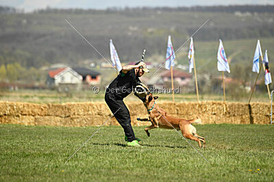 D&C's Captain Fizzgig