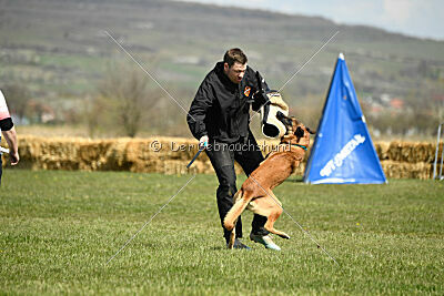 D&C's Captain Fizzgig