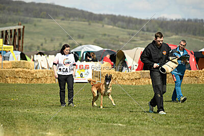 D&C's Captain Fizzgig