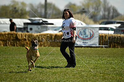 D&C's Captain Fizzgig