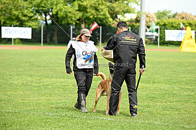 D&C's Captain Fizzgig